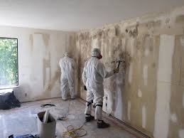 Best Mold Removal for HVAC Installations  in Lake Bluff, IL